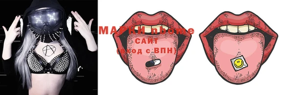 эйфоретик Гусь-Хрустальный