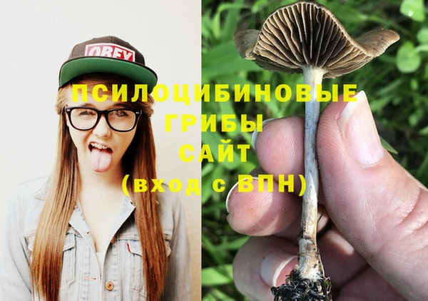 гашик Гусиноозёрск