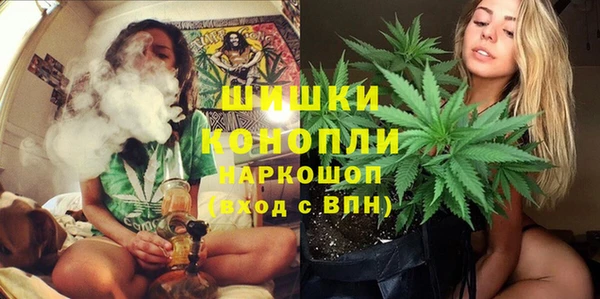 эйфоретик Гусь-Хрустальный