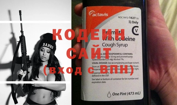 эйфоретик Гусь-Хрустальный