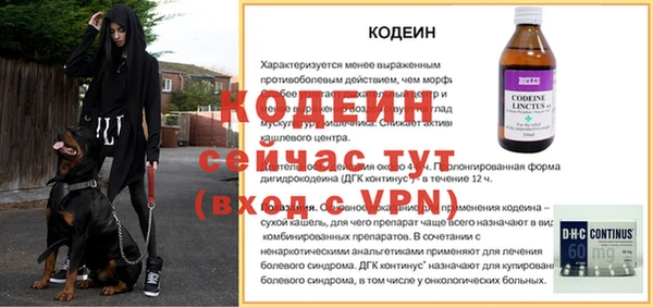 гашик Гусиноозёрск