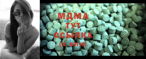 эйфоретик Гусь-Хрустальный
