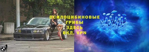 молекула духа Семикаракорск