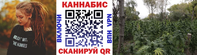 Шишки марихуана планчик  купить наркотик  Чусовой 